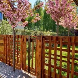 Drewniany płot z furtką w ogrodzie, obsadzony kwitnącymi drzewami wiśniowymi i podsypany białym żwirem, widok na zielony trawnik i drzewa w tle.