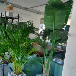 Pielęgnacja ogrodów Warszawa 1