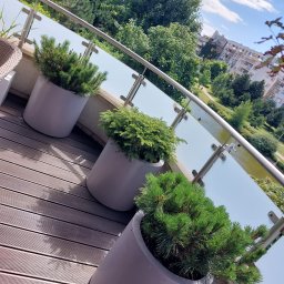 Pielęgnacja ogrodów Warszawa 4