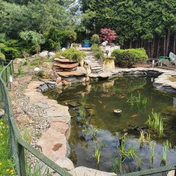 Zielony Folwark - Oczko wodne z kamiennym brzegiem, roślinami wodnymi i pomarańczowymi rybkami, otoczone zielenią i niskim ogrodzeniem z siatki.