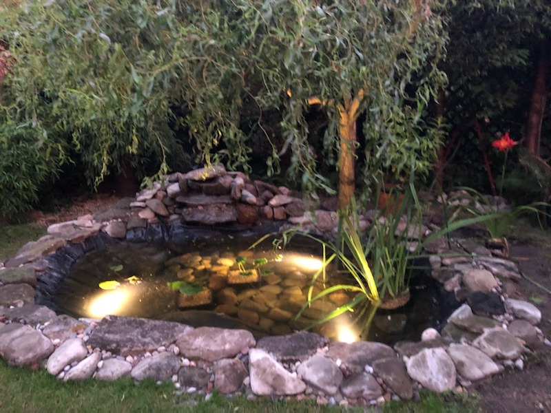 Oczko wodne z kamienną kaskadą i oświetleniem punktowym, otoczone wierzbą płaczącą i roślinnością wodną, w ogrodzie o zmierzchu.