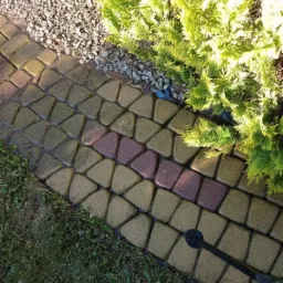 Czyszczenie kostki brukowej za pomocą myjki ciśnieniowej, widoczne r&oacute;żnice w kolorze pomiędzy czystą a brudną powierzchnią, obok rosnący krzew iglasty i wysypane kamyki