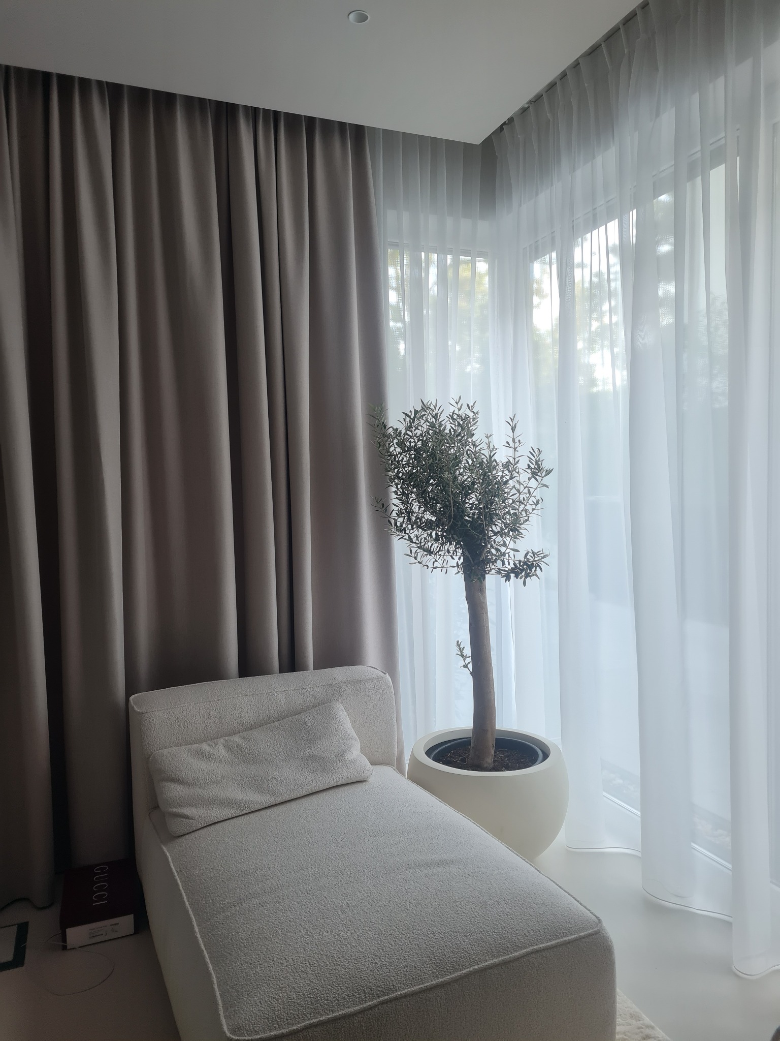 Jasnoszare, grube zasłony obok białych, zwiewnych firan w nowoczesnym wnętrzu z sofą i drzewkiem w donicy.
