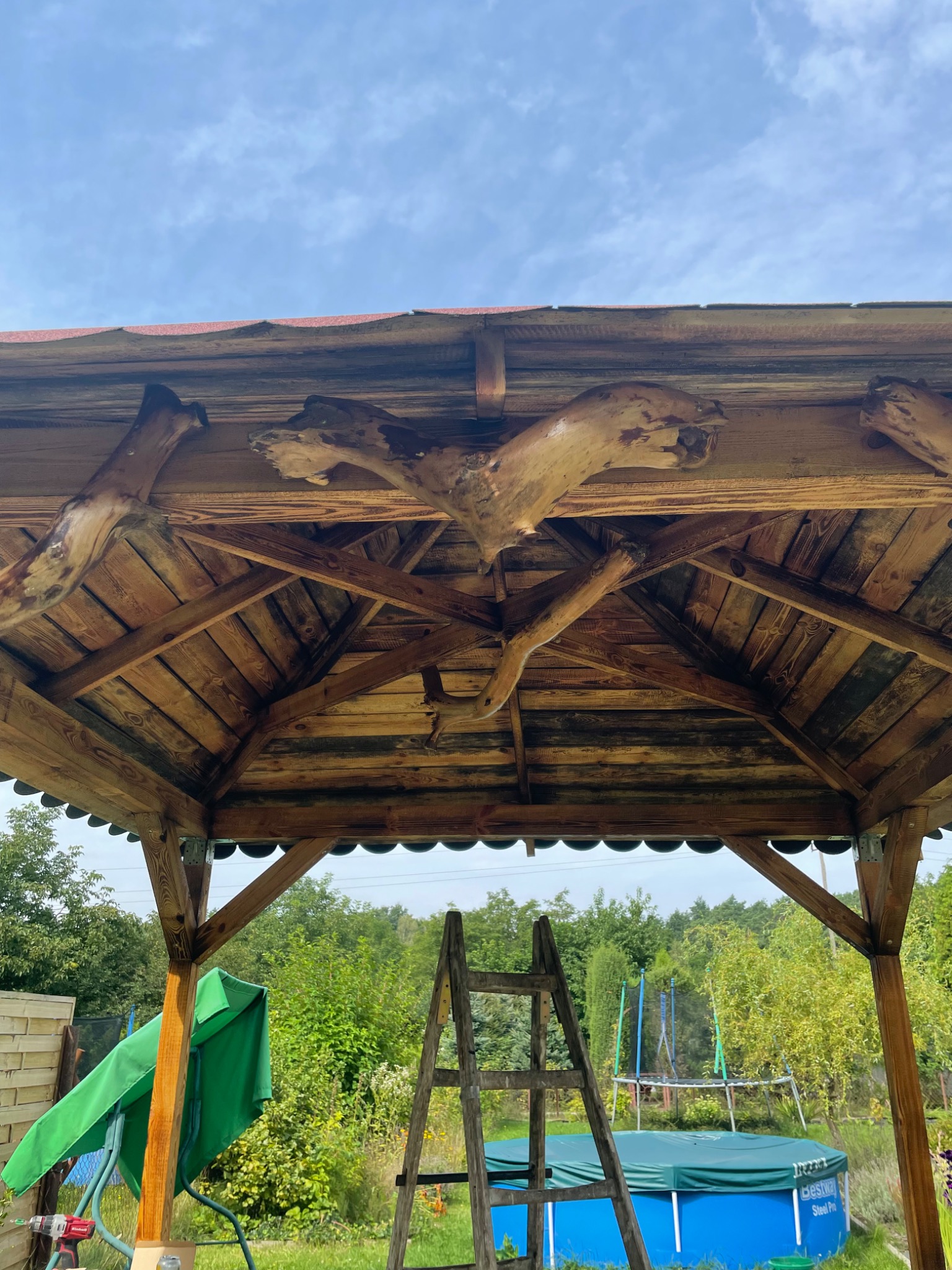 Drewniana altana z surowymi konarami w konstrukcji dachu, drabina oparta o bok, w tle ogrodowy basen i zieleń