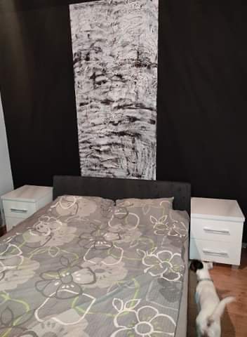 Sypialnia z szarą pościelą w kwiaty, białymi szafkami nocnymi i dużym abstrakcyjnym obrazem w czerni i bieli na czarnej ścianie, mały pies przy szafce.