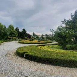 Przycinanie, krzewów nadawanie formy i kształtu