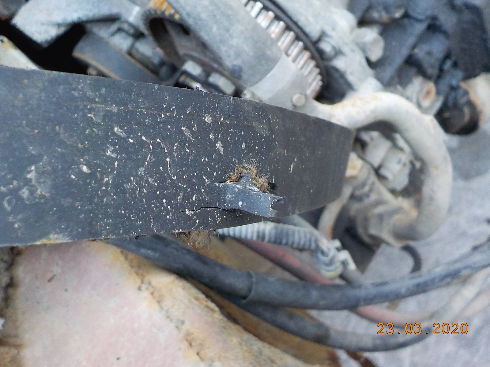 Detail zniszczonego paska klinowego silnika samochodowego z widocznymi pęknięciami i strzępami, na tle innych elementów silnika.