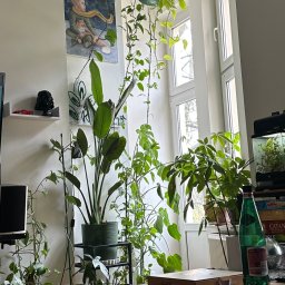 Sprzedaż mieszkania Wrocław 2