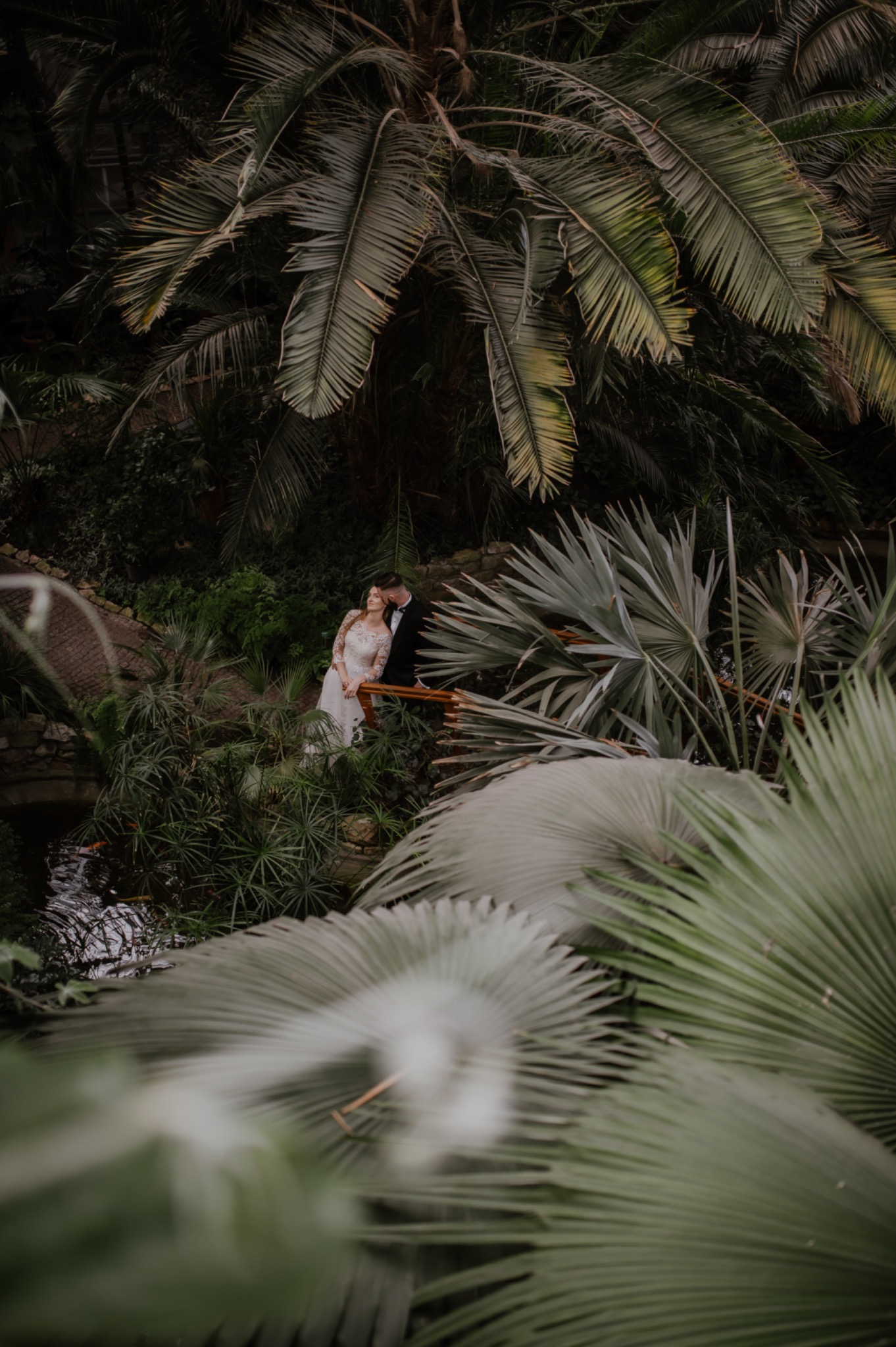 Para młoda w otoczeniu tropikalnej roślinności, on w czarnym garniturze, ona w białej koronkowej sukni, pozują na tle bujnej zieleni i małego stawu, widok z góry.