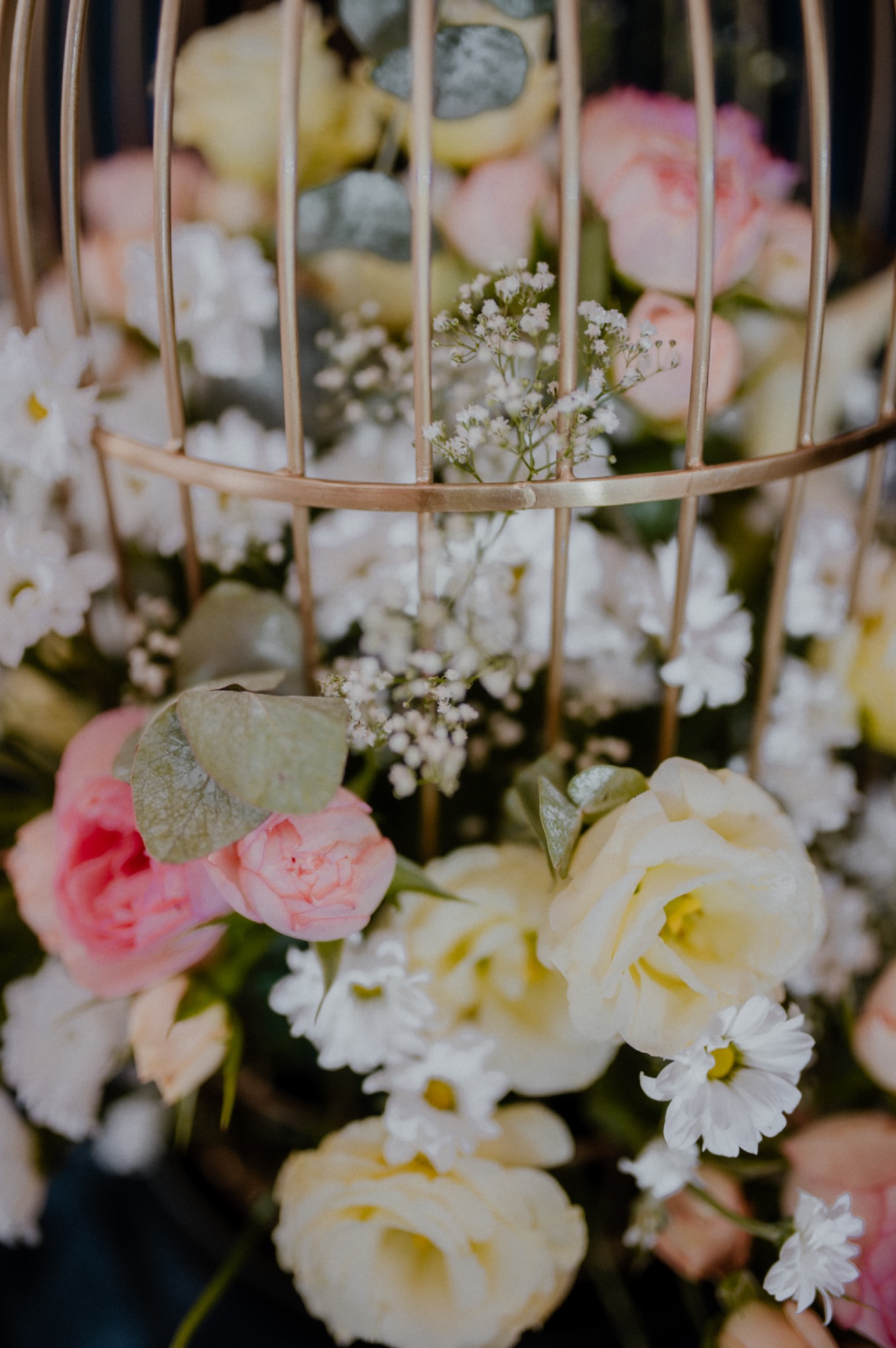 Dekoracja kwiatowa: pastelowe róże, białe margerytki i gipsówka w złotej klatce, kompozycja ślubna.