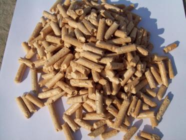 Pisarski Szymon - Pellet Iłża