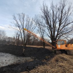 STAW-BUD Sylwester Pawłoś - Pomarańczowa koparka linowa marki Waryński przy wykopanym stawie, z widoczną stertą ziemi i suchą trawą w kadrze, na tle drzew bez liści i pochmurnego nieba.