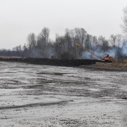 STAW-BUD Sylwester Pawłoś - Pomarańczowa koparka na brzegu zbiornika wodnego, w tle drzewa i dym, pochmurna pogoda. Prace ziemne w toku, widok na rozległy teren.