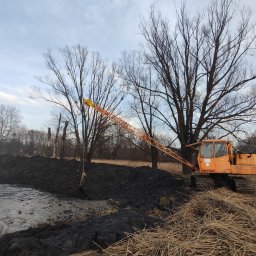 STAW-BUD Sylwester Pawłoś - Pomarańczowa koparka gąsienicowa marki Waryński przy wykopanym stawie, z widocznym brzegiem i drzewami w tle, na tle pochmurnego nieba.