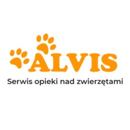 Alvis sp. z o.o. - Spacery z Psem Gdańsk