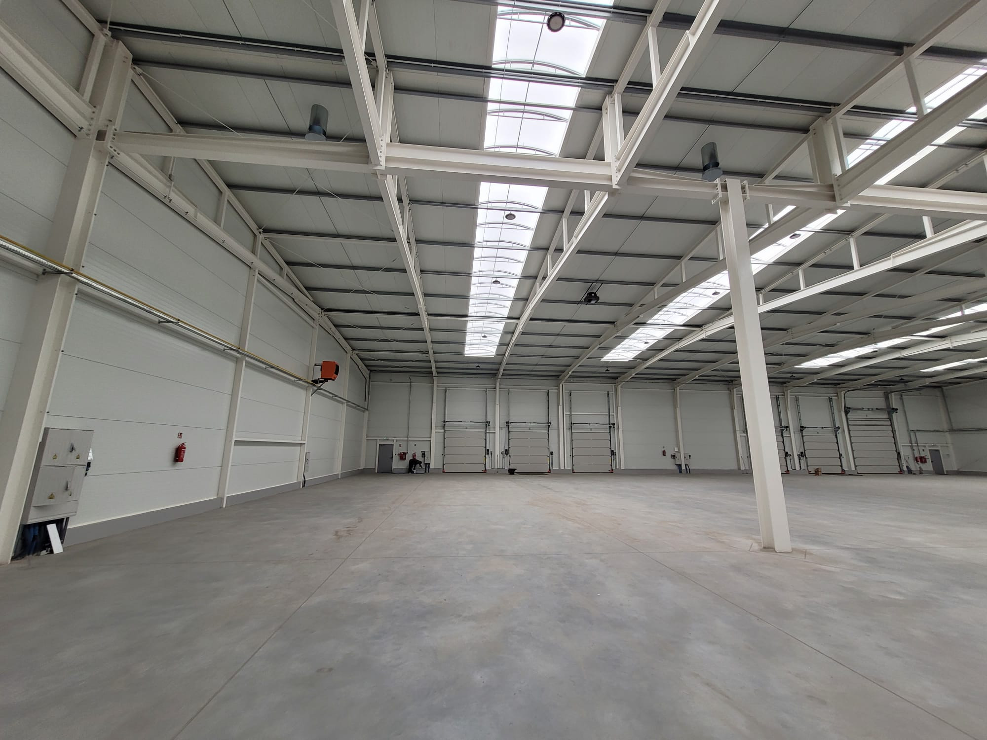 Wnętrze nowo wybudowanej hali z betonową posadzką, widoczne białe ściany z panelami, stalowa konstrukcja dachu z oknami dachowymi i bramy segmentowe.