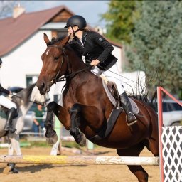 Usługi inne Dębica - avatar