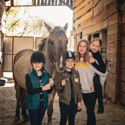 Stadniny i jazda konna Dębica 2