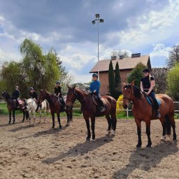 Stadniny i jazda konna Dębica 1
