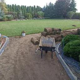 Układanie trawy z rolki w ogrodzie: widok na ułożony trawnik, stosy rolek trawy, brudną taczkę i ślady opon na ziemi.