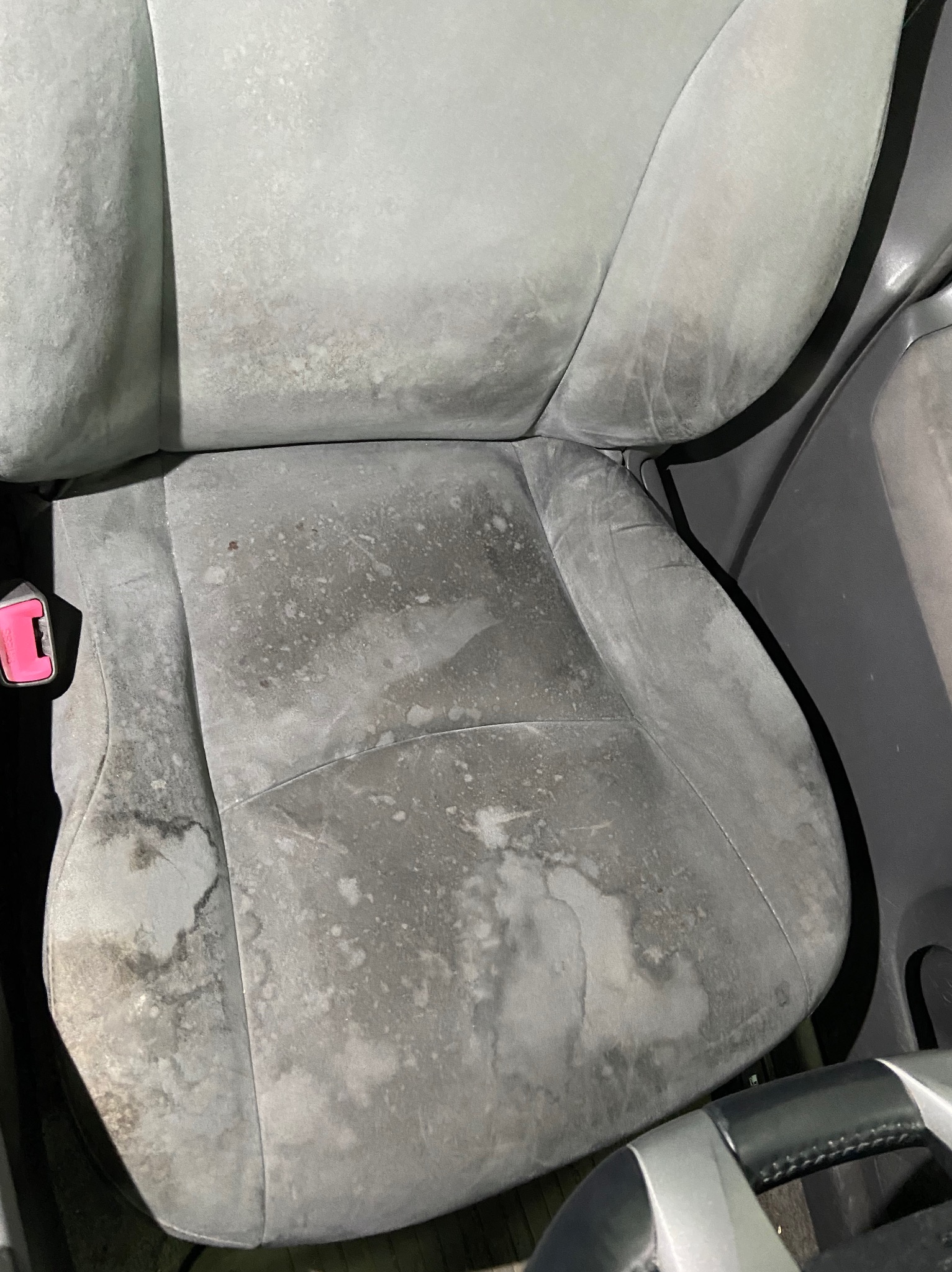 Brudny, jasnoszary fotel samochodowy z widocznymi plamami i zabrudzeniami na tapicerce, zapięcie pasów bezpieczeństwa w kolorze fuksji po lewej stronie.