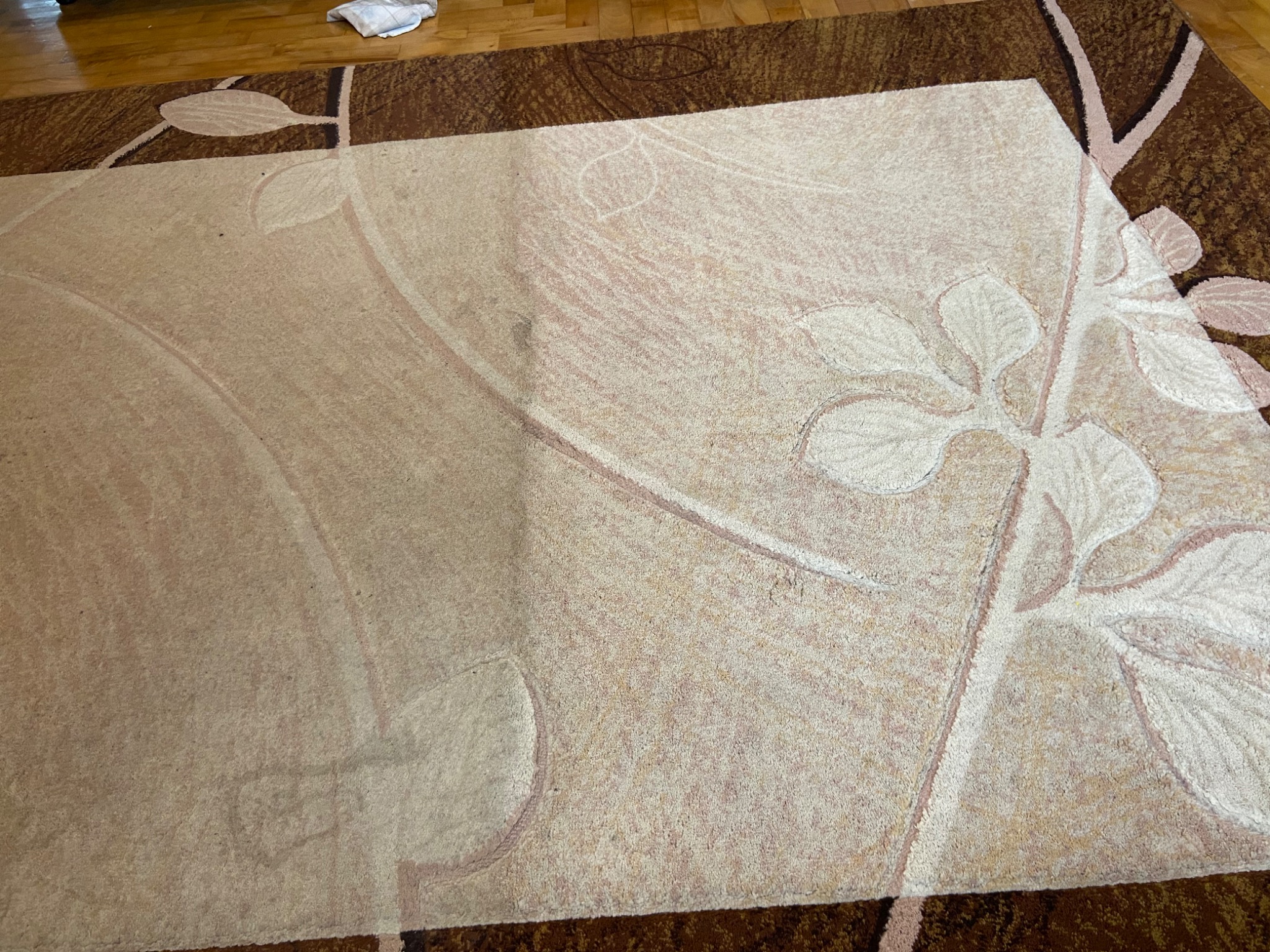 Dywan z kwiatowym wzorem, widoczna różnica w czystości po lewej stronie, kontrastująca z zabrudzoną prawą połową.