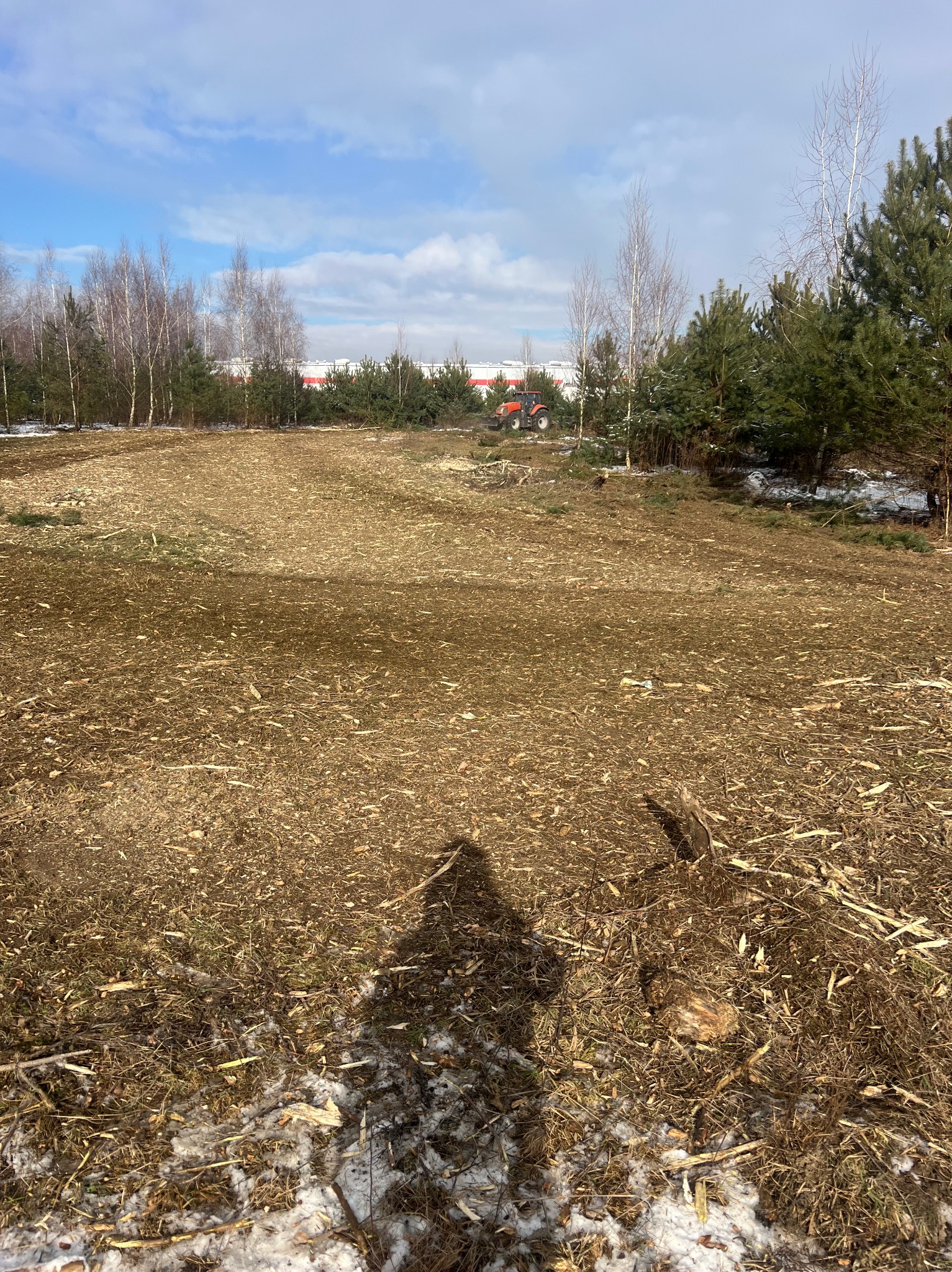 Teren po wycince drzew, pokryty zrębkami. W tle widoczny traktor i budynek. Zima, resztki śniegu. Cień osoby w dolnej części kadru. Błękitne niebo z chmurami.