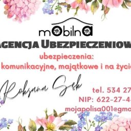 Ubezpieczenia, Biuro Rachunkowe i Szkolenia BHP - Firma Ubezpieczeniowa Ostrów Wielkopolski