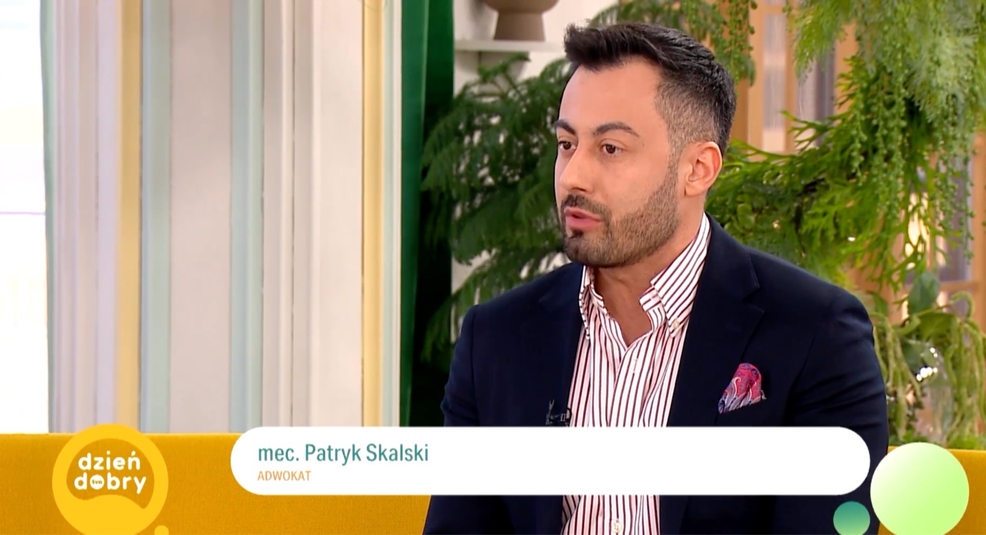Portret adwokata Patryka Skalskiego w marynarce i koszuli w paski, podczas występu w programie telewizyjnym Dzień Dobry TVN, z roślinnym tłem.