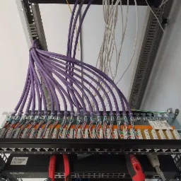 Widok z dołu na panel krosowniczy z uporządkowanymi fioletowymi kablami sieciowymi CAT6, zamocowany w metalowej szafie rack, z widocznymi narzędziami - szczypcami i wkrętakiem.