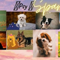 Grafik komputerowy Pasłęk 3