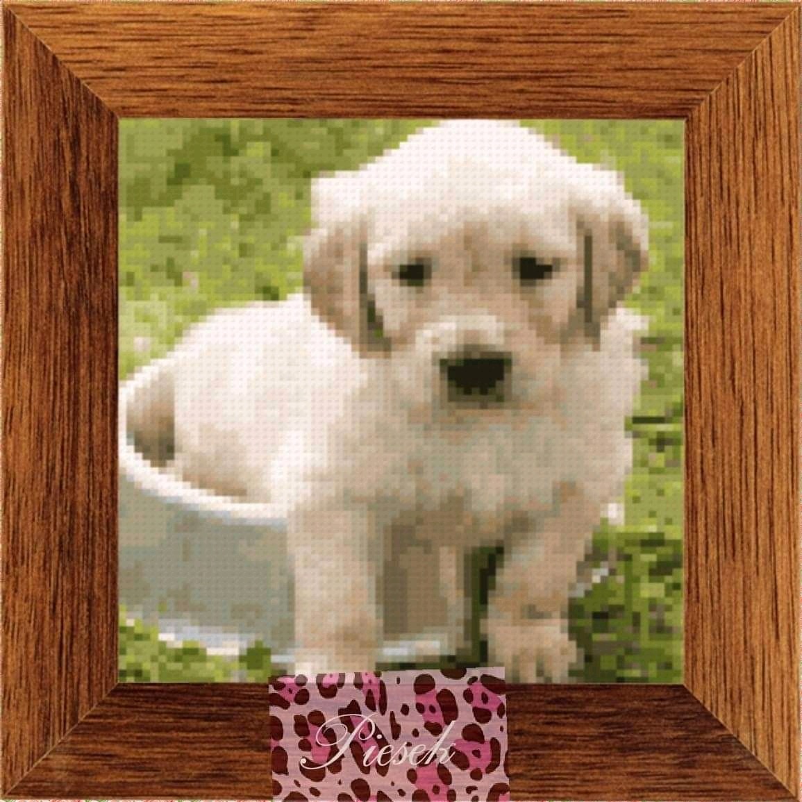 Wyhaftowany obrazek przedstawiający szczeniaka golden retrievera w misce na tle zielonej trawy, oprawiony w drewnianą ramkę.