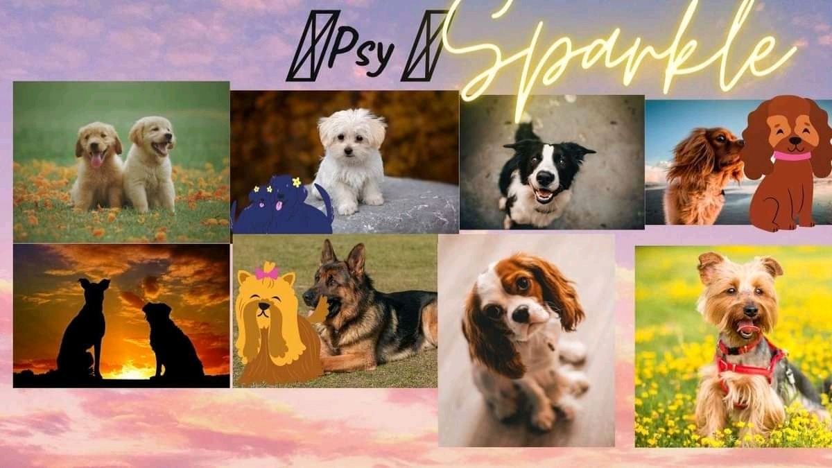 Kompozycja zdjęć różnych ras psów, w tym golden retrieverów, maltańczyka, border collie, cavalier king charles spaniela, owczarka niemieckiego i yorkshire terriera, z dodatkowymi grafikami...