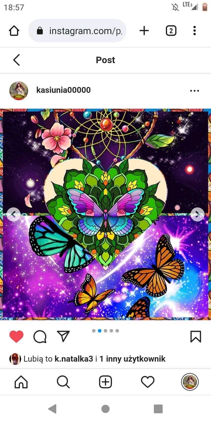 Ilustracja cyfrowa przedstawiająca motyle w jaskrawych kolorach na tle kosmicznym z elementami kwiatowymi i łapaczem snów, emanująca fantazyjnym i artystycznym stylem.