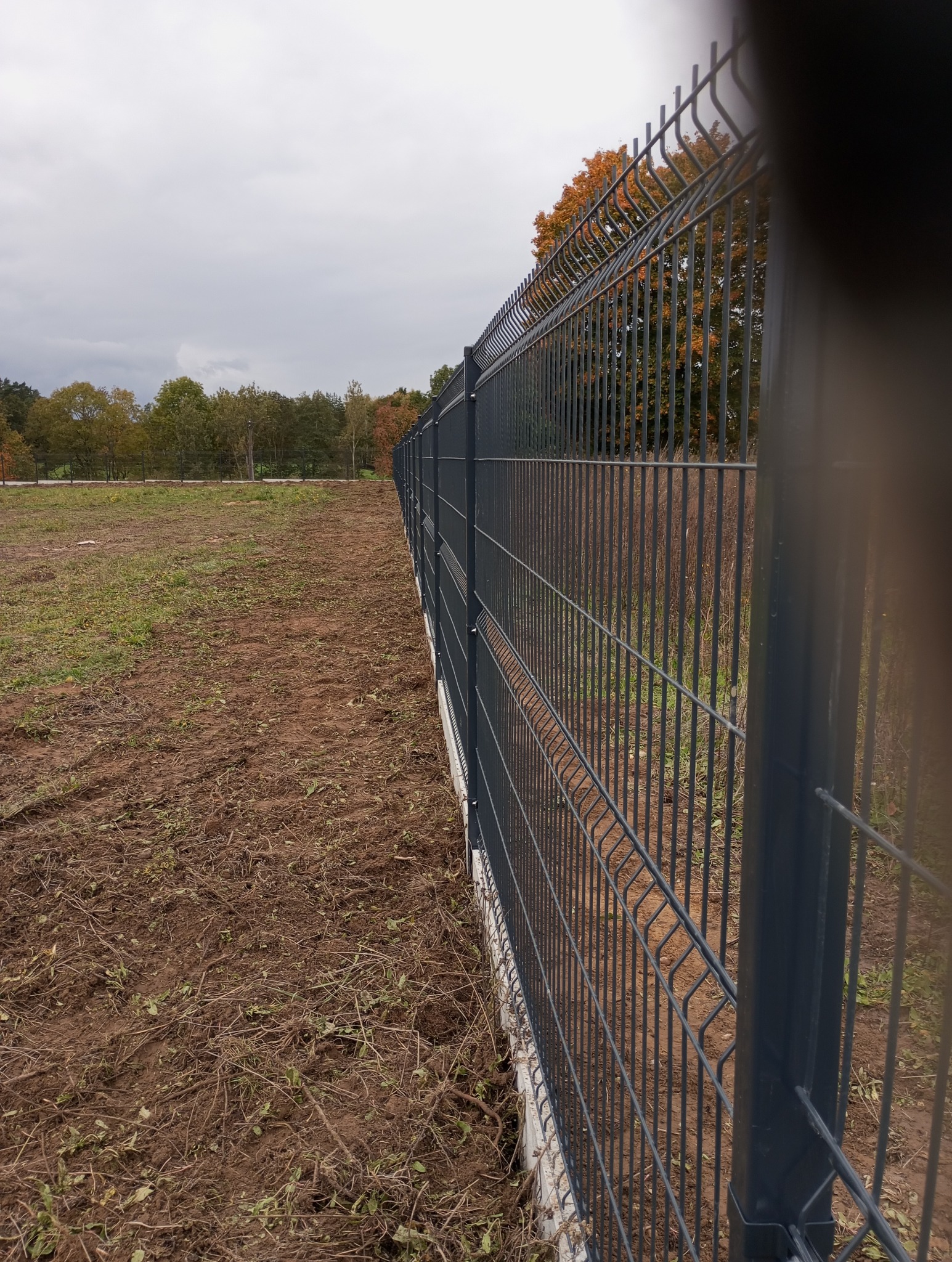 Nowoczesne, grafitowe ogrodzenie panelowe na betonowej podmurówce, widoczne na tle jesiennego krajobrazu. Ujęcie z bliska, podkreślające detale konstrukcji.