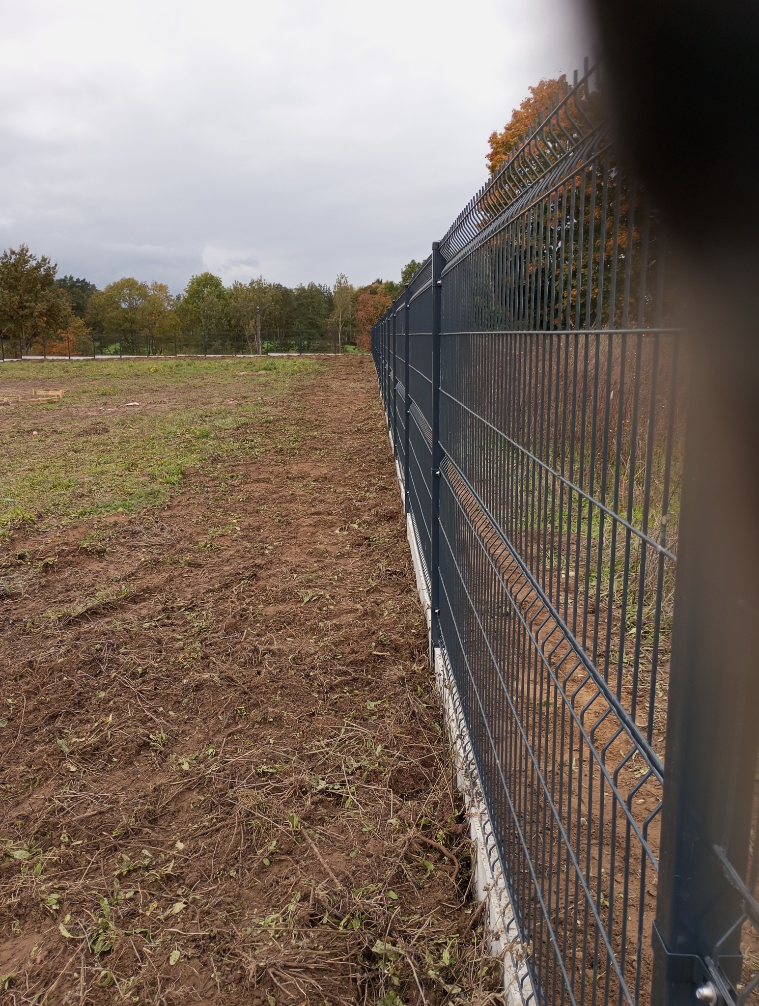 Nowoczesne, szare ogrodzenie panelowe na betonowej podmurówce, oddzielające pole od drzew. Widok z perspektywy ziemi, z bliska, z elementem słupka na pierwszym planie.