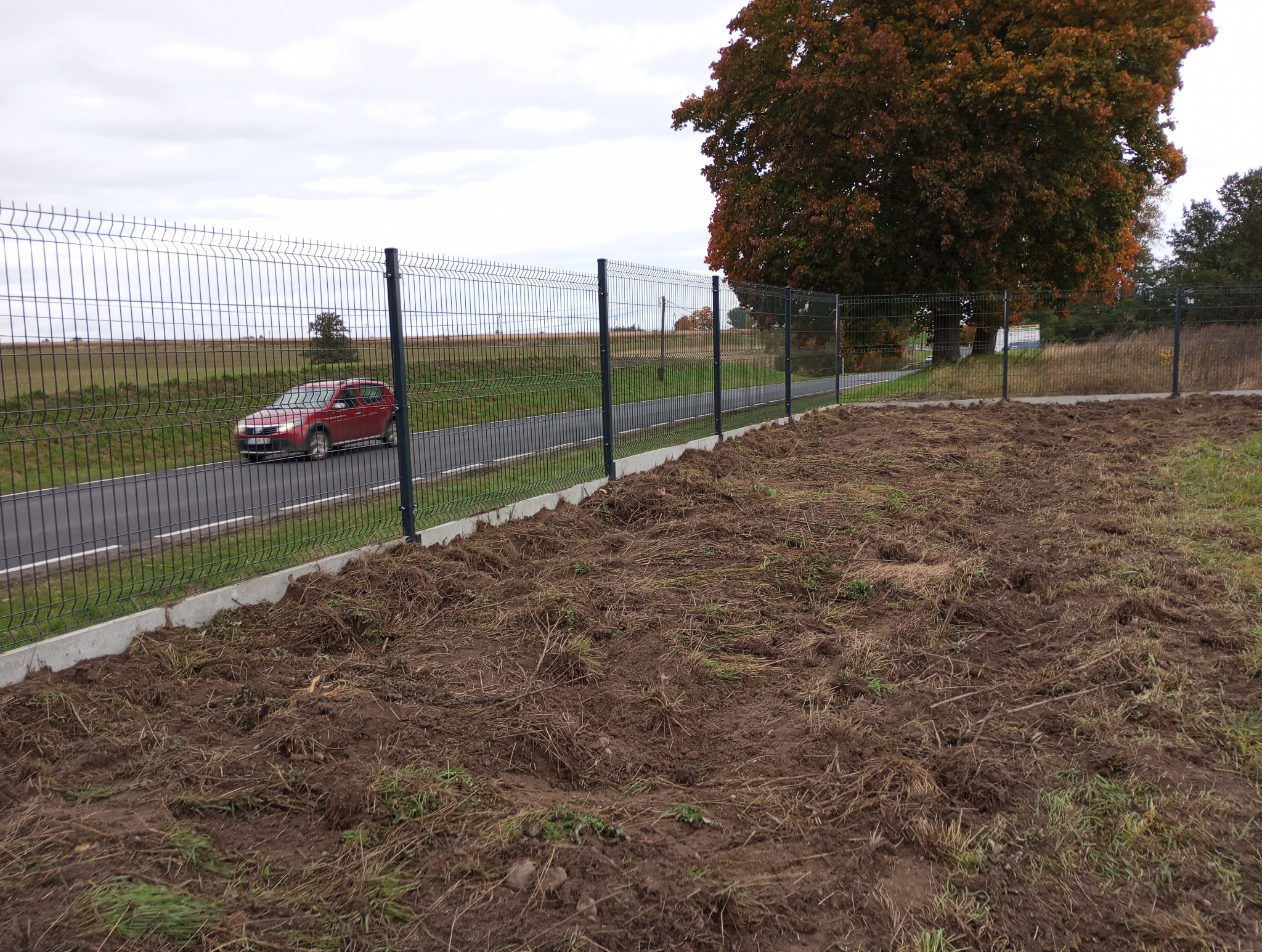 Nowoczesne, szare panele ogrodzeniowe z podmurówką betonową, widok z perspektywy gruntu. W tle przejeżdża czerwony samochód, a jesienne drzewo dodaje koloru.