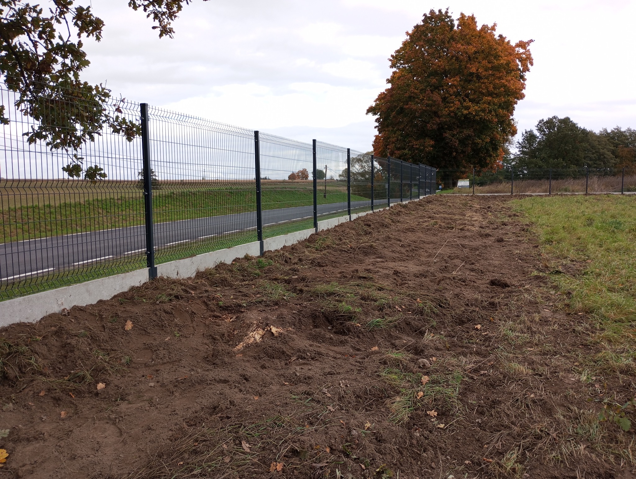 Nowoczesne ogrodzenie panelowe z podmurówką betonową, oddzielające posesję od drogi. Widoczne przygotowane podłoże pod nasadzenia. Jesienne drzewo w tle.