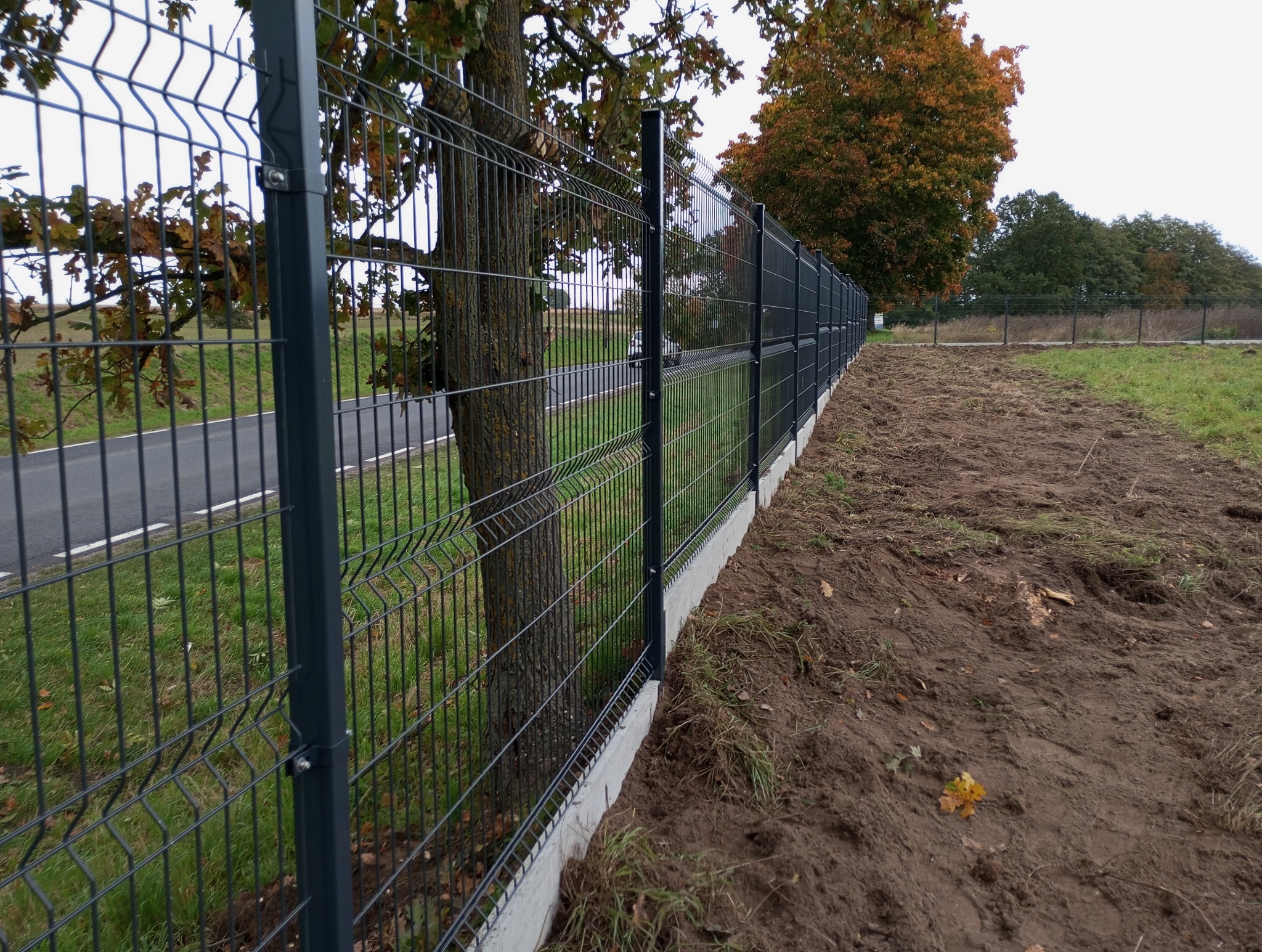 Szary panelowy system ogrodzeniowy z podmurówką betonową, widoczny z perspektywy bocznej, z drzewem w tle i fragmentem drogi po lewej stronie.