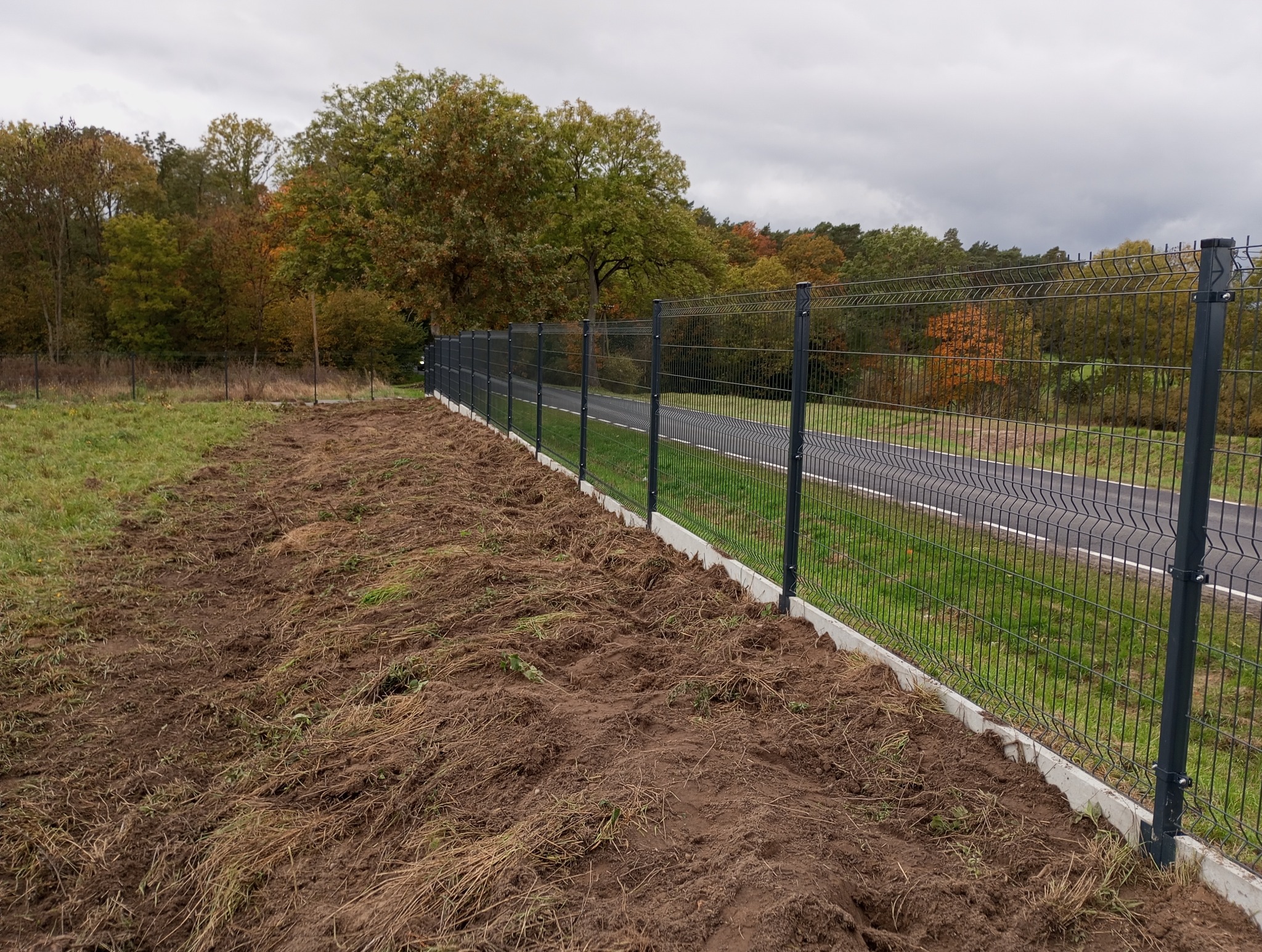 Nowoczesne, grafitowe panele ogrodzeniowe z podmurówką betonową, oddzielające posesję od drogi. W tle jesienny krajobraz z drzewami o zróżnicowanej kolorystyce.