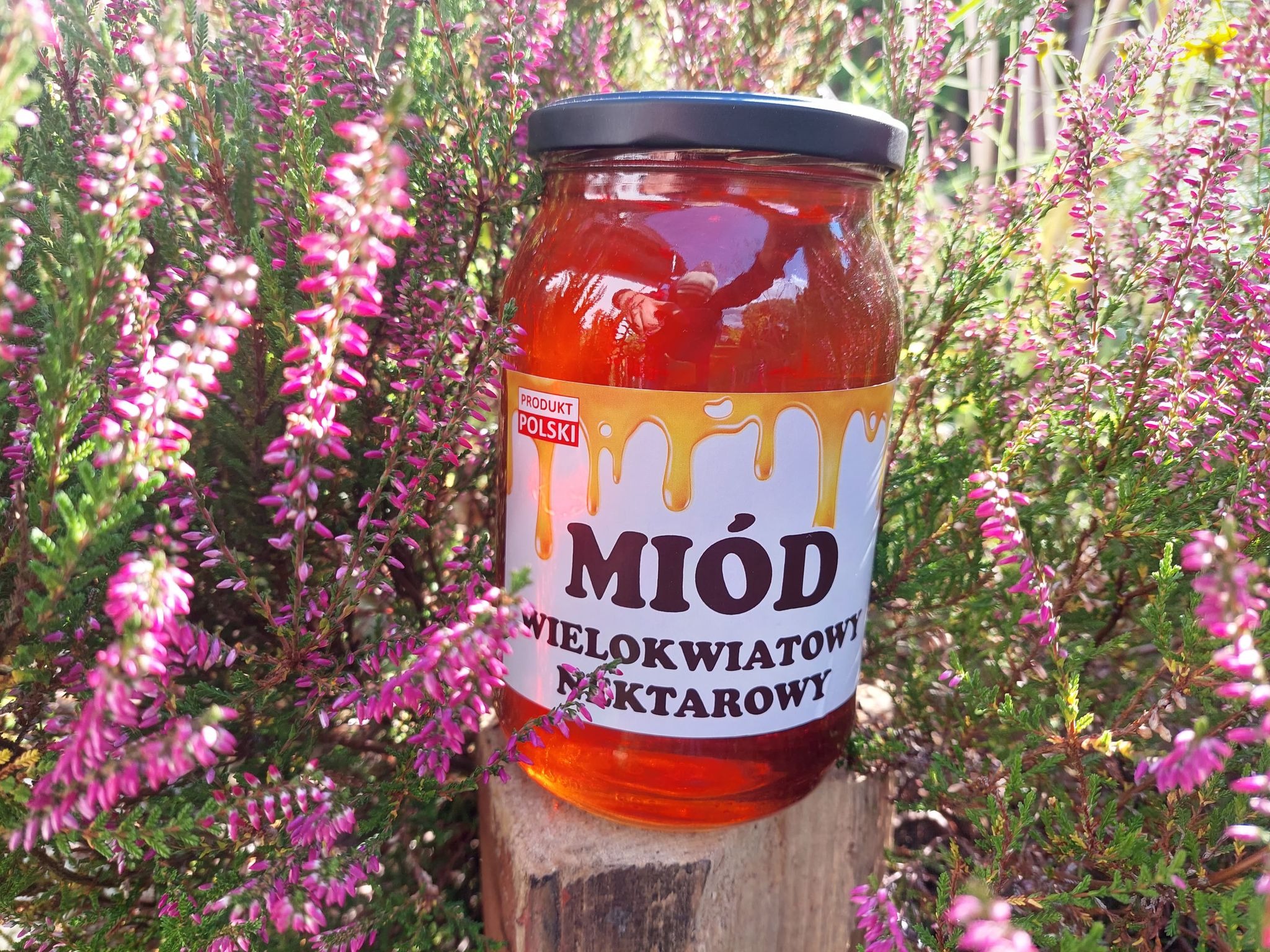 Słoik wielokwiatowego nektarowego produktu polskiego na drewnianym postumencie, otoczony kwitnącym wrzosem w promieniach słońca.