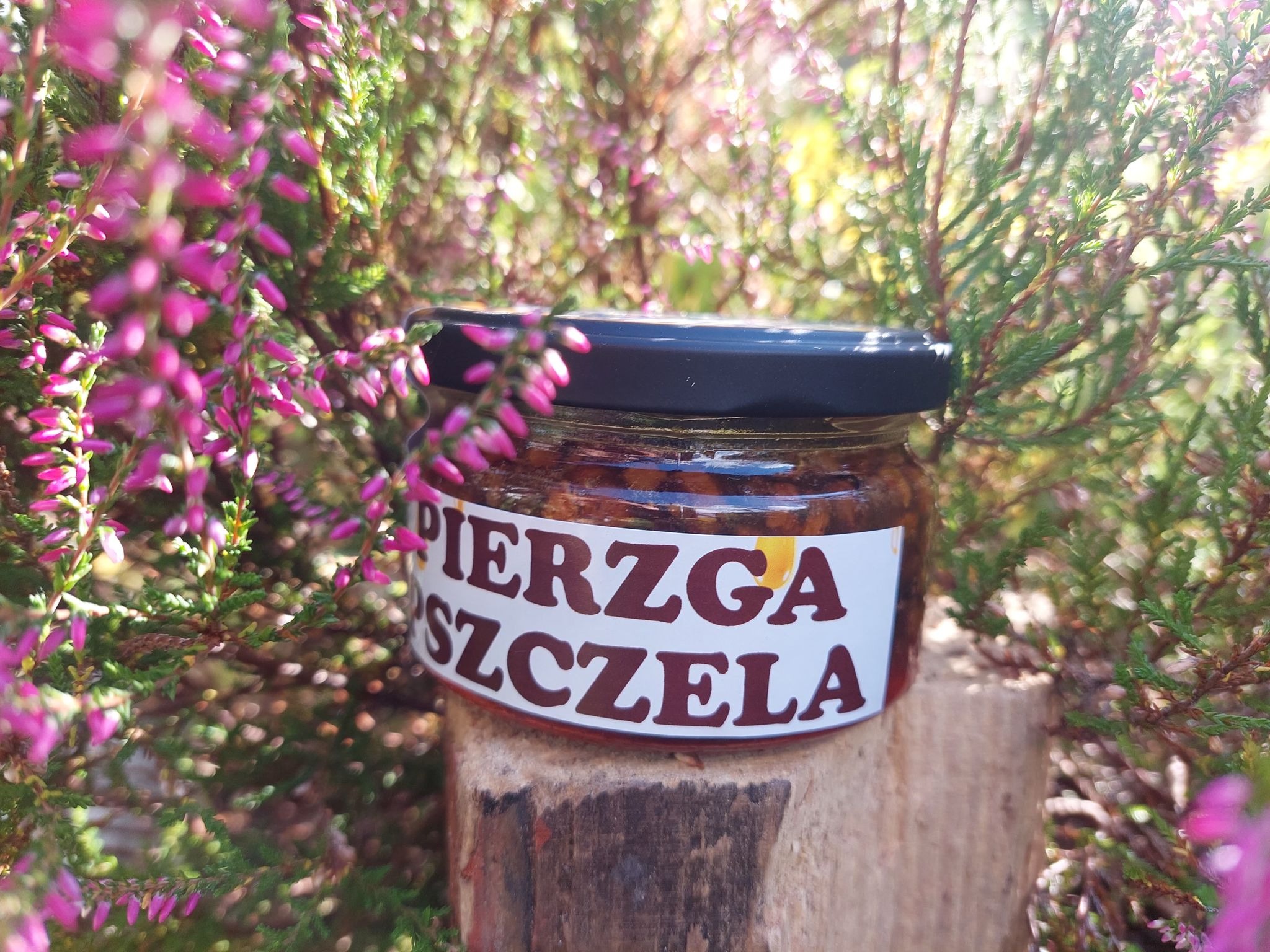 Słoik z pierzgą pszczelą na drewnianym postumencie, otoczony kwitnącym wrzosem w naturalnym świetle.