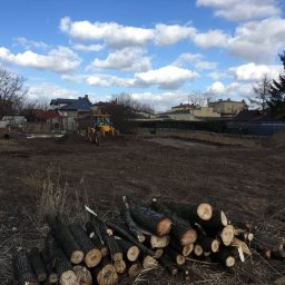 B&B Gw Sp Zoo - Przygotowanie terenu pod budowę domu: żółta koparko-ładowarka wyrównuje ziemię na działce, w tle widoczne domy jednorodzinne i sterta pociętych pni drzew.