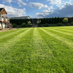 Perfekcyjnie przystrzyżony trawnik z wyraźnymi pasami, w tle rząd tuj i kwitnące hortensje, po lewej drewniany domek dla dzieci z schodkami, błękitne niebo z obłokami.