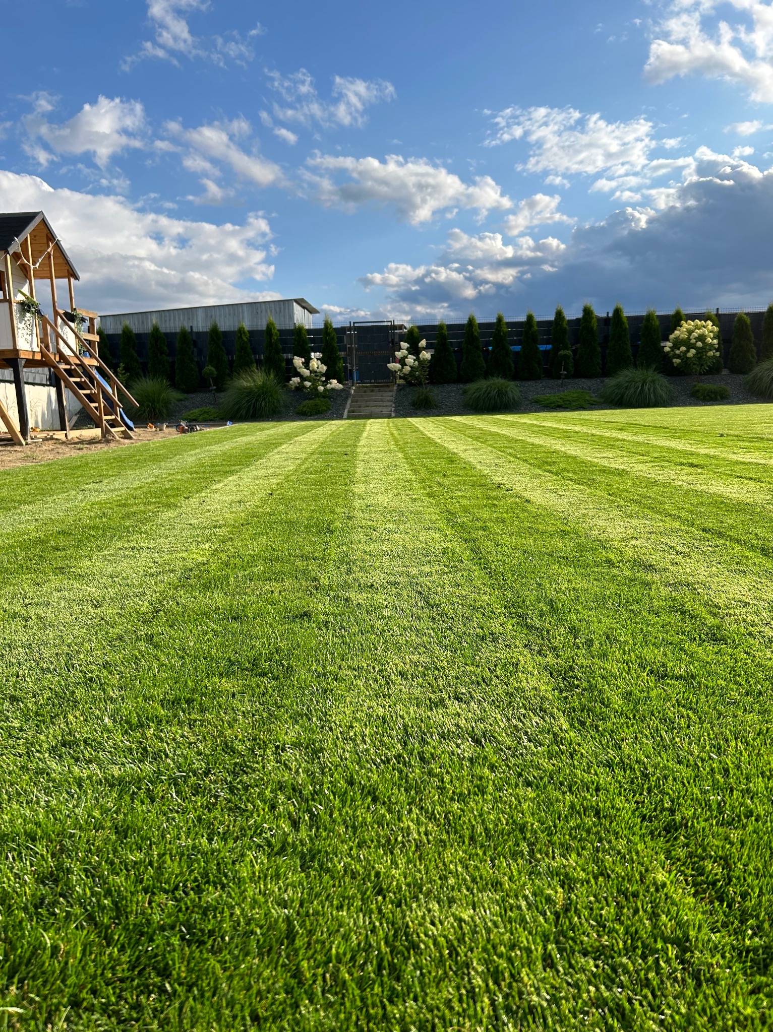 Perfekcyjnie przystrzyżony trawnik z wyraźnymi pasami, w tle rząd tuj i kwitnące hortensje, po lewej drewniany domek dla dzieci z schodkami, błękitne niebo z obłokami.