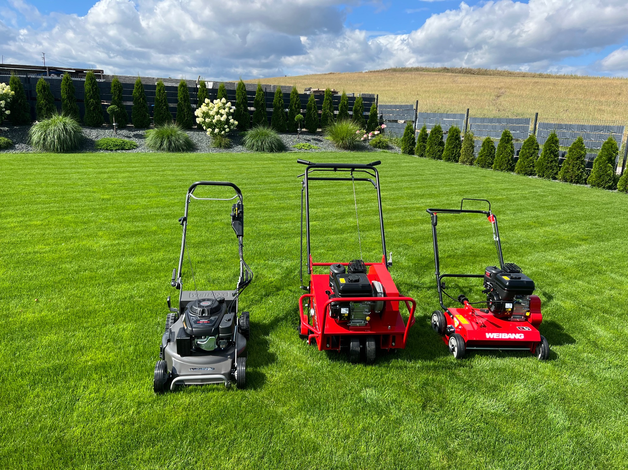 Trzy różne kosiarki i wertykulatory marki Weibang stoją na idealnie przystrzyżonym trawniku w słoneczny dzień, z dekoracyjnymi tujami i hortensjami w tle.