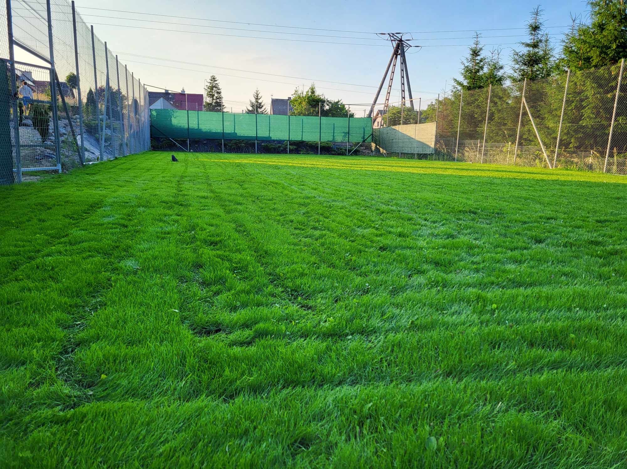 Świeżo skoszony trawnik sportowy z widocznymi śladami po kosiarce, ogrodzony siatką z zielonym materiałem maskującym, słup energetyczny w tle.
