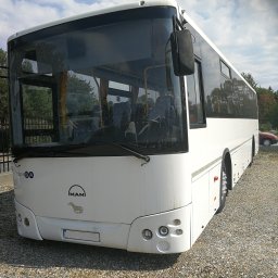 Przewóz osób Poznań 2