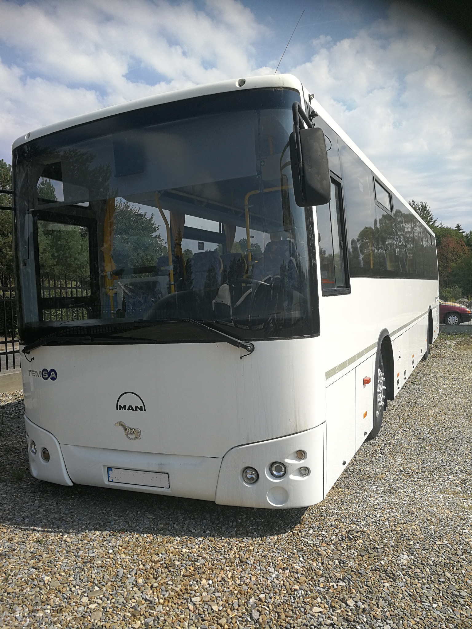 Biały autobus marki MAN na żwirowym parkingu, widok z przodu, z logo zebry na masce.