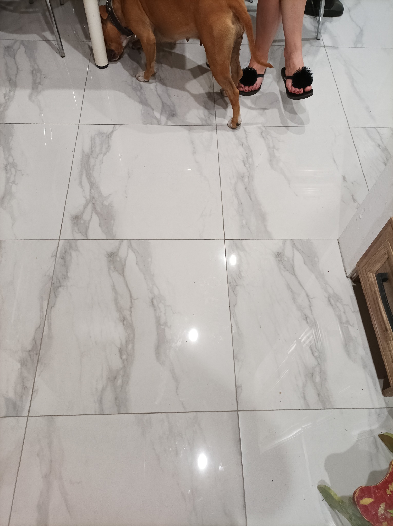 Białe, marmurowe płytki podłogowe ułożone w kwadraty w Włostowie, widoczne nogi kobiety w czarnych klapkach z pomponami i pies rasy pitbull.